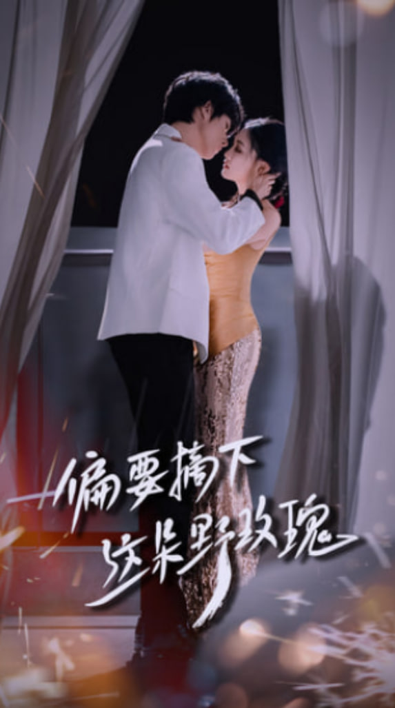 偏要摘下这朵野玫瑰 - 第60集完结_导员演员_德华影影-剧透网